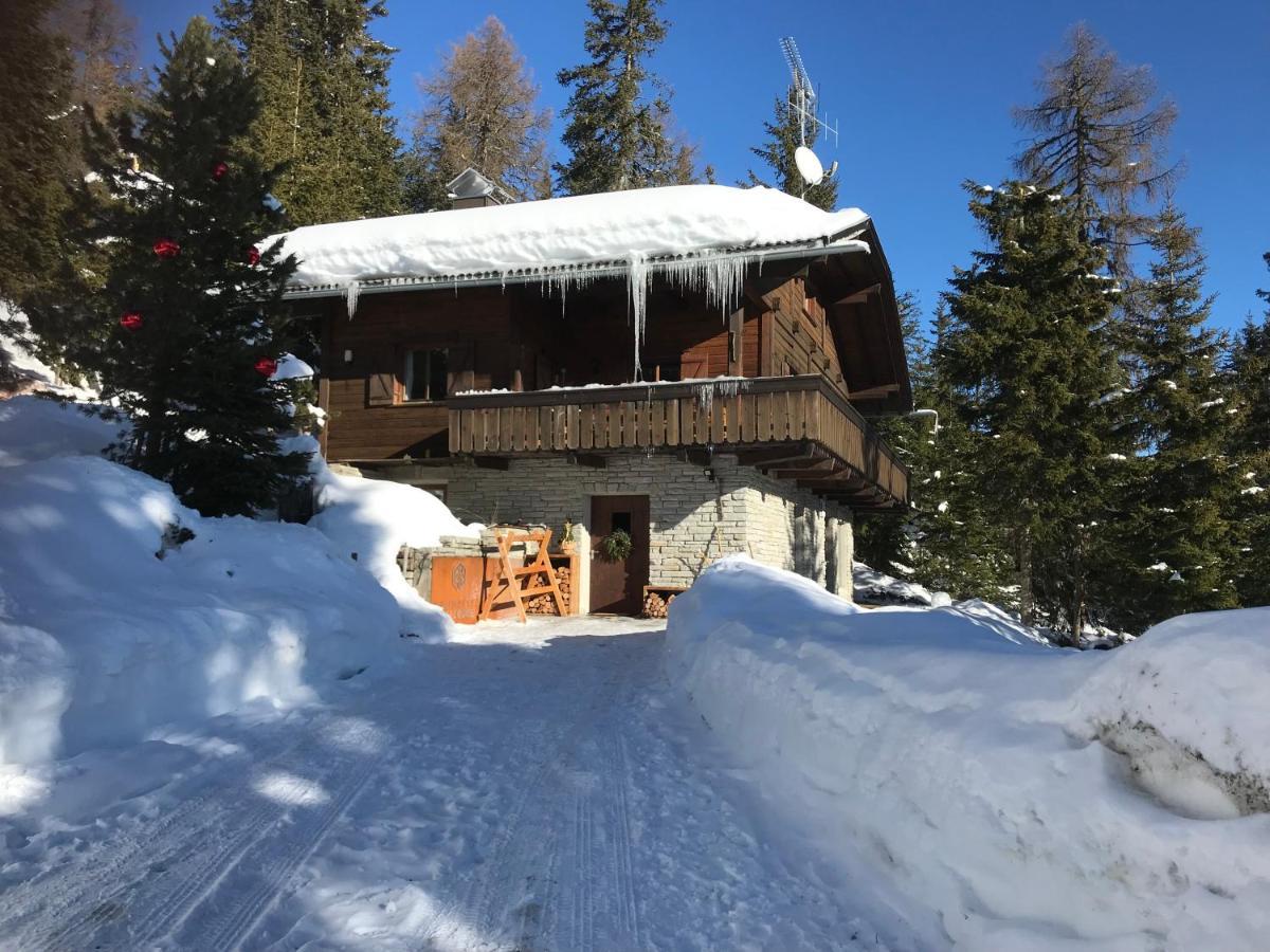 Olang Kronplatz Ski Lodge מראה חיצוני תמונה